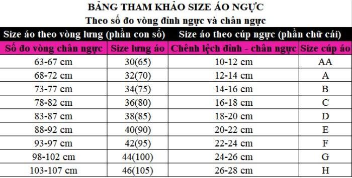 Bộ đồ lót có gọng đệm nâng ngực có size lớn big size đến 40