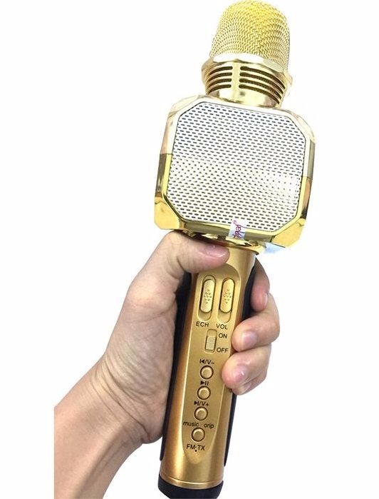 Micro Karaoke Kèm Loa Bluetooth SD10 (Màu ngẫu nhiên) - Hàng chính hãng