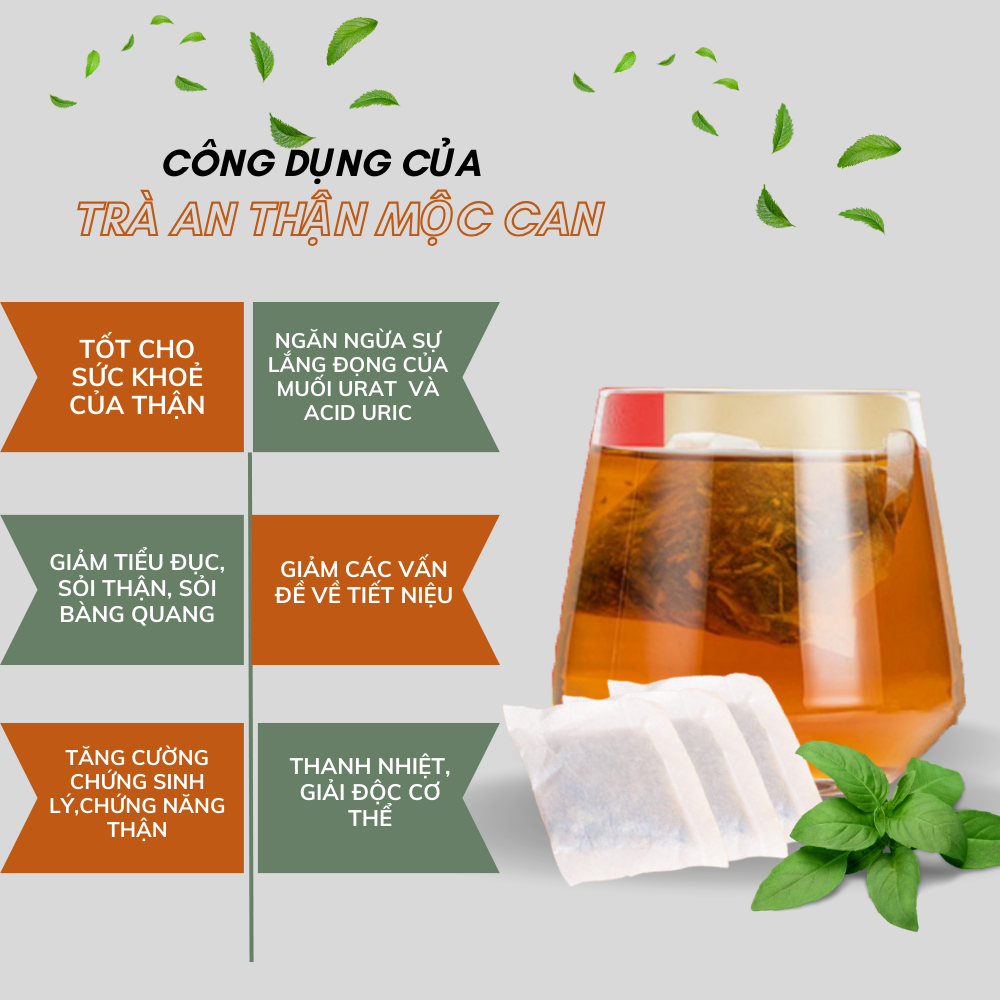 Combo 3 hộp Trà AN Thận Mộc Can 25 túi giảm chứng thận yếu, tiểu đục, sỏi thận, sỏi bàng quang, thanh nhiệt, giải độc