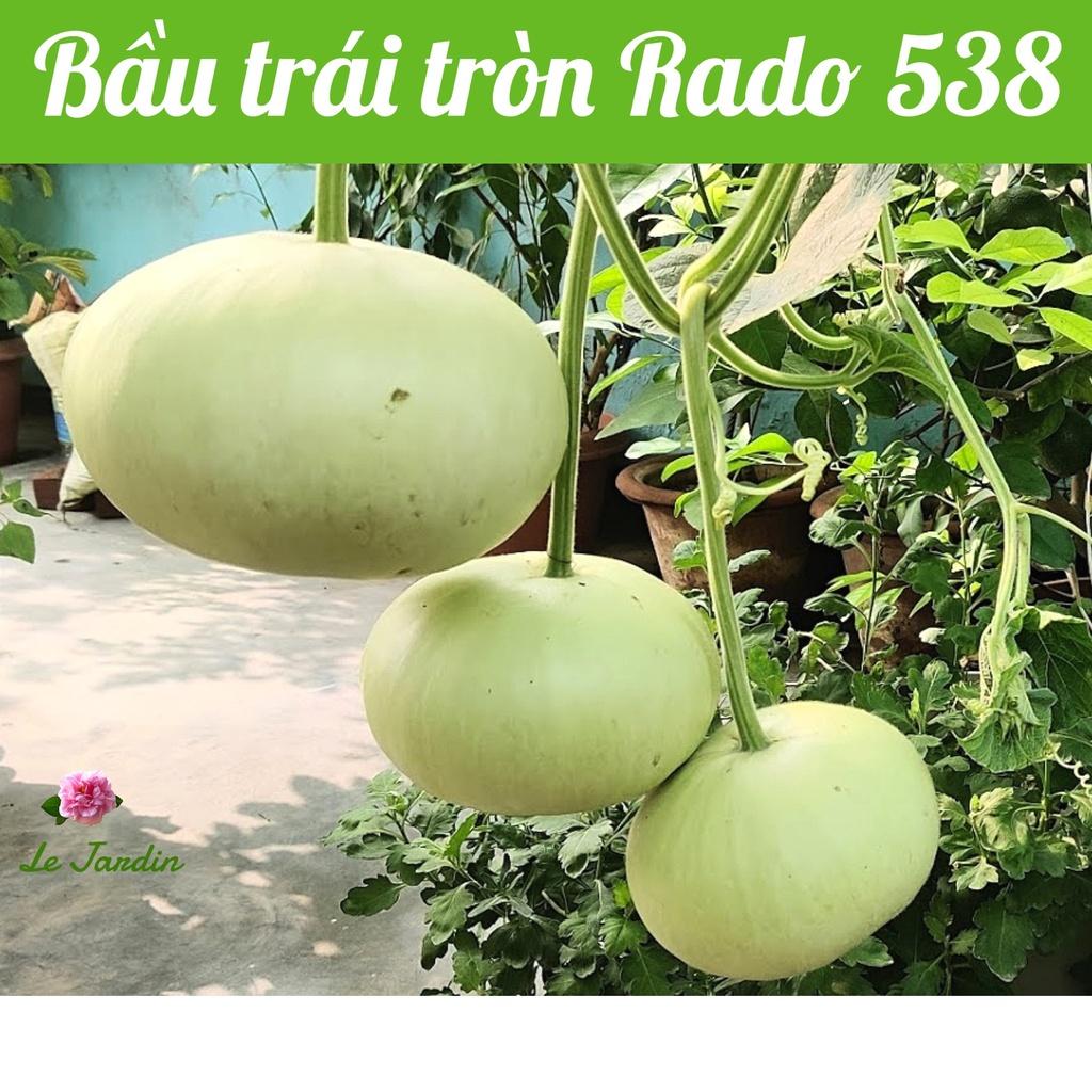 Hạt giống bầu tròn Rado 538 gói 1gr - Dễ trồng sai trái
