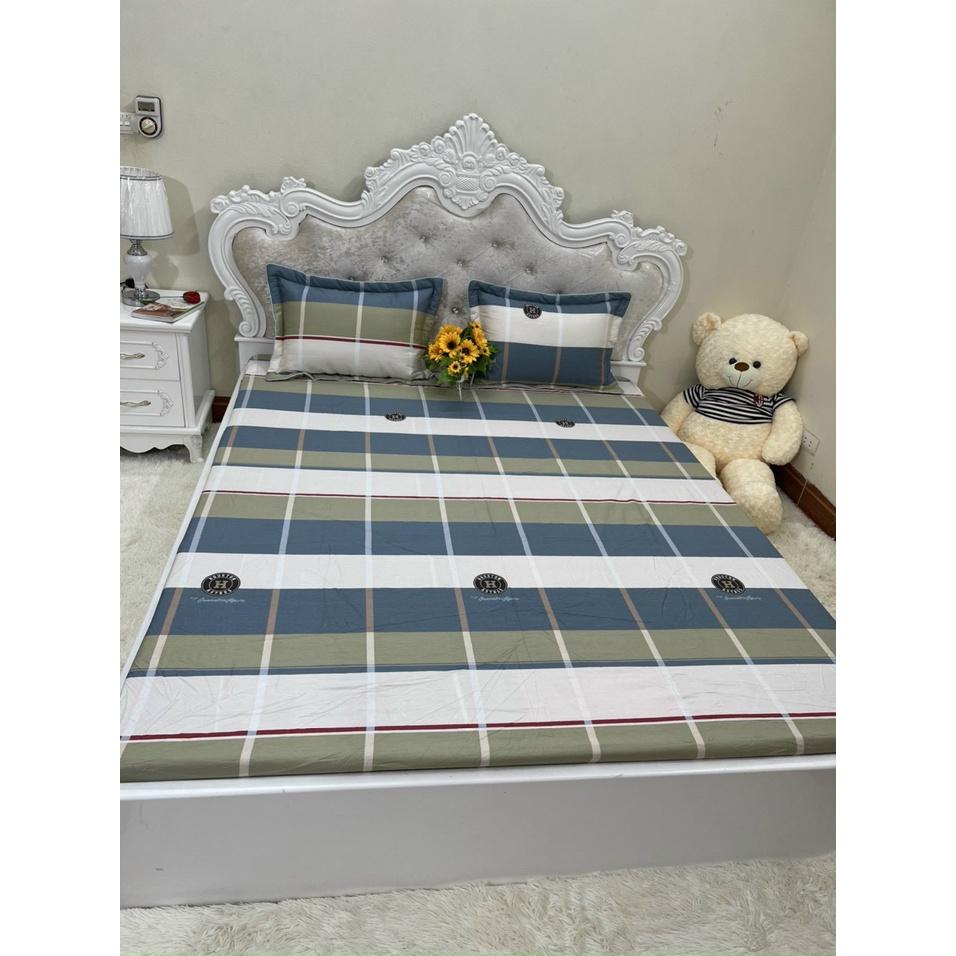 Bộ ga chun trơn và 2 vỏ gối 100% cotton hàn các kích thước