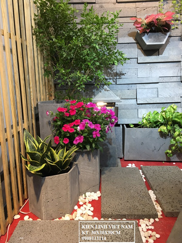 Chậu đá tự nhiên trồng cây - Chậu lục giác KT 30cm
