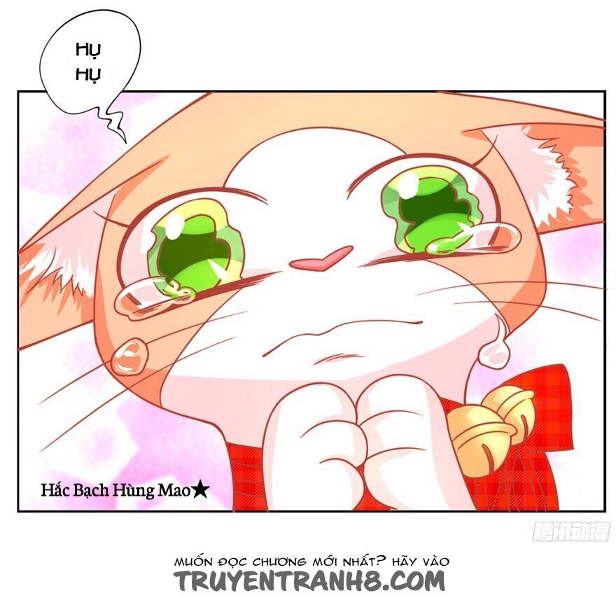 chủ nhân là ảnh đế chapter 1.6 12