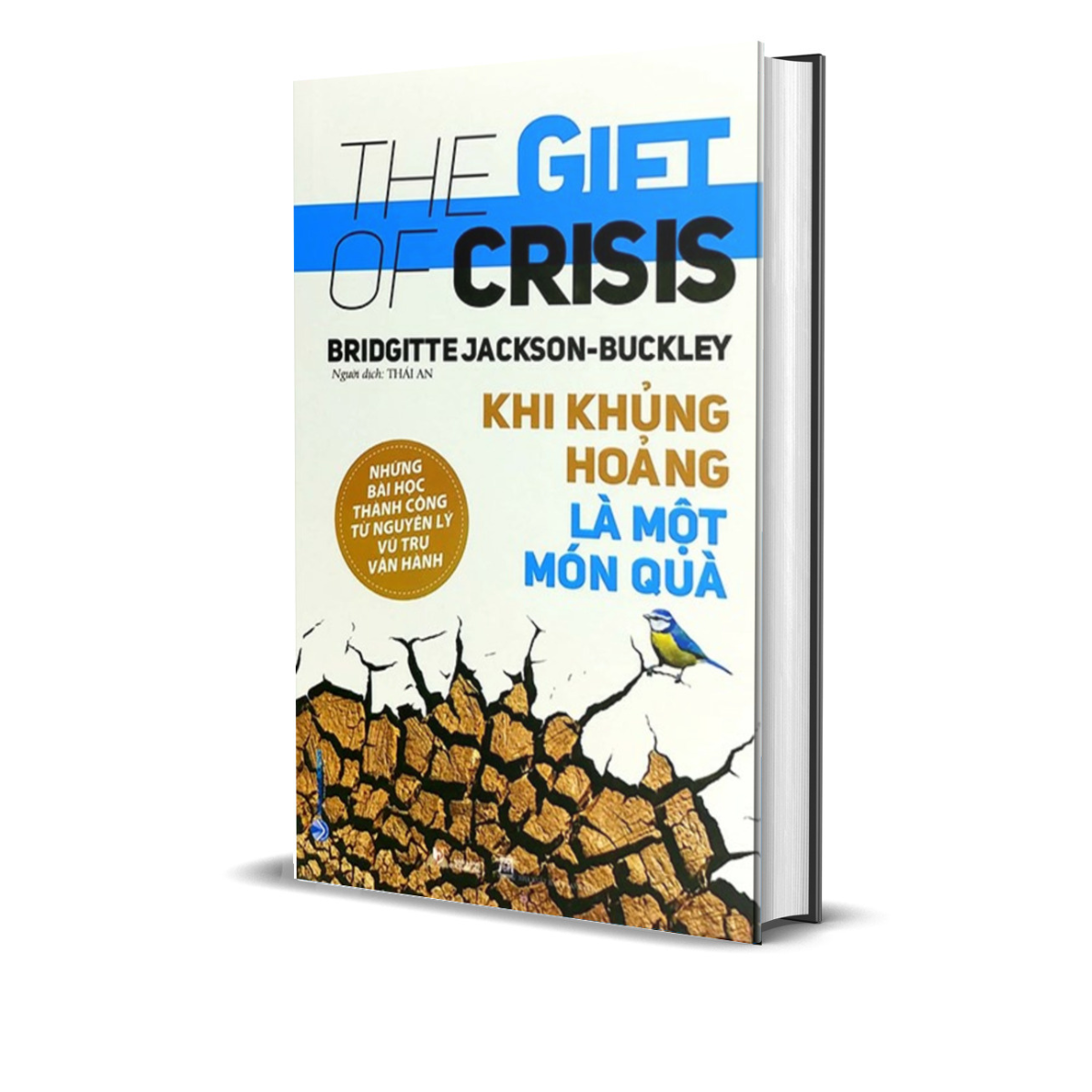 Khi Khủng Hoảng Là Một Món Quà - The Gift Of Crisis