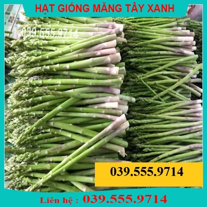 HẠT GIỐNG MĂNG TÂY XANH 20 HẠT - NĂNG SUẤT CAO