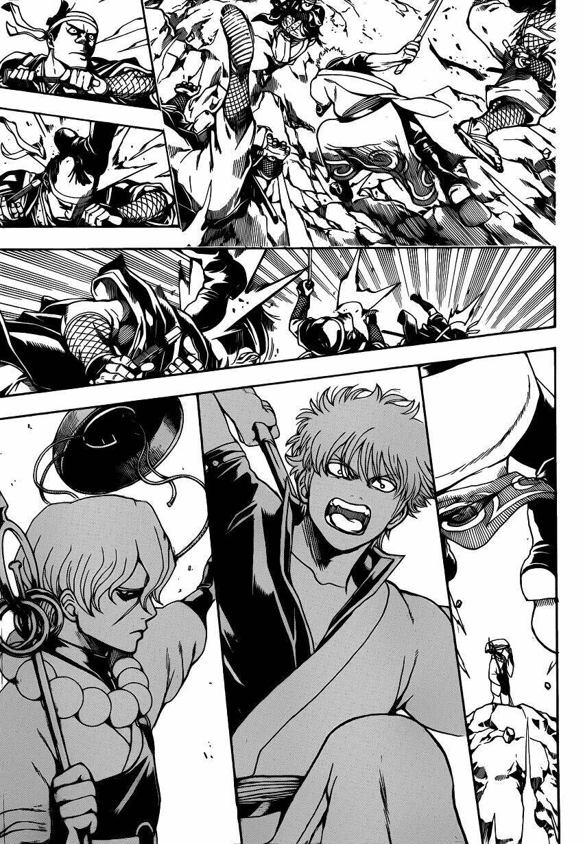 gintama - linh hồn bạc chapter 536 4
