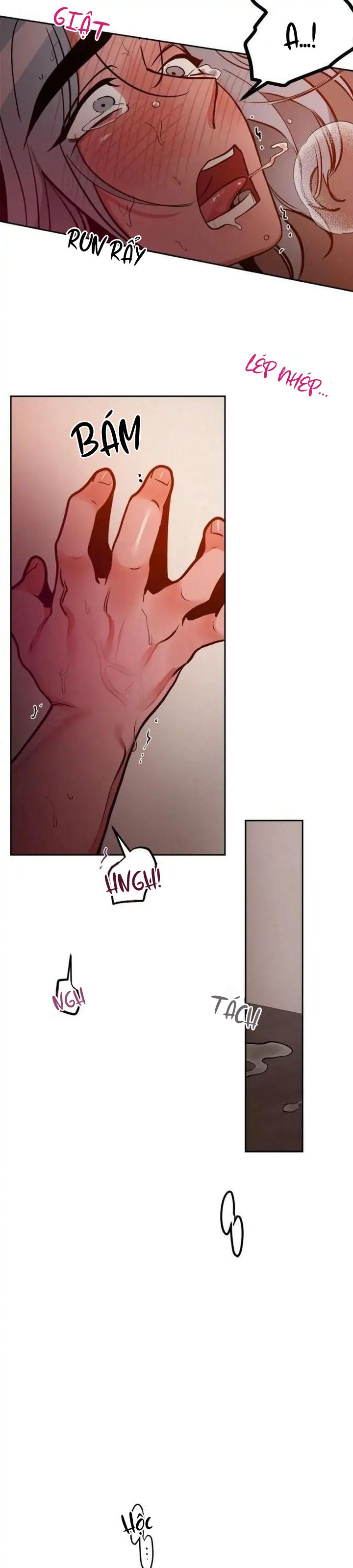 đối tác cơ thể hoàn hảo chapter 15 14