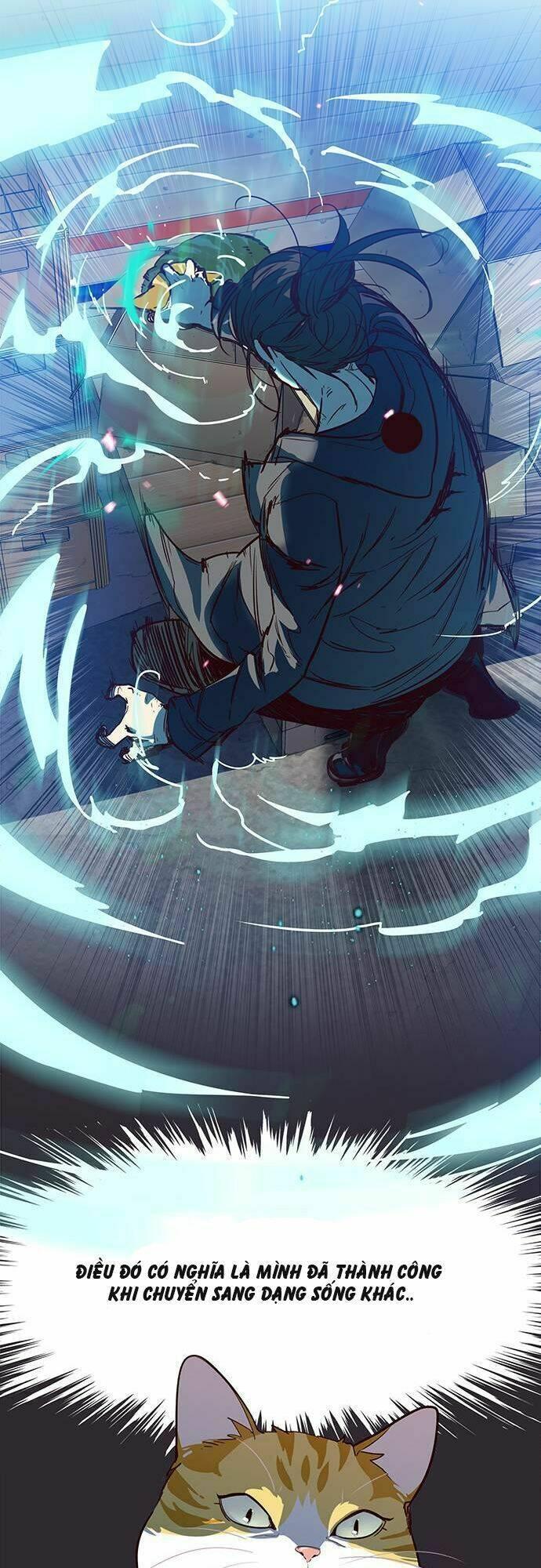 biến thân thành mèo chapter 1 28