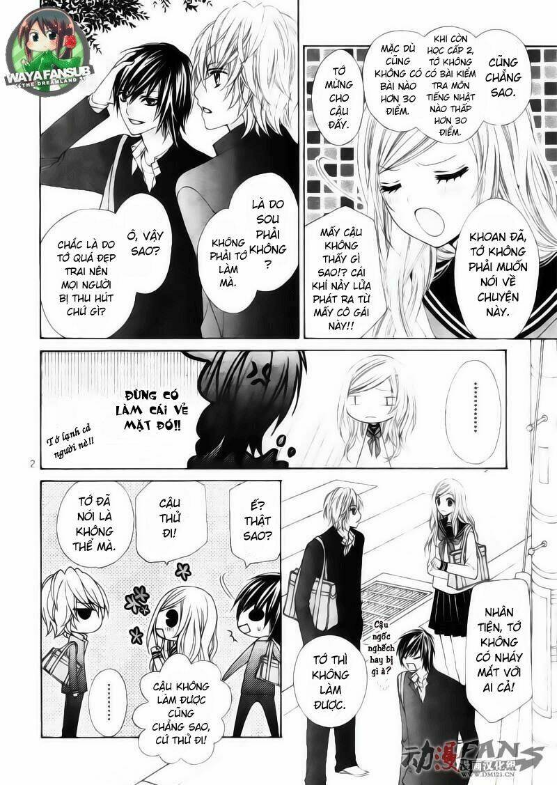 stardust wink chapter 1 5