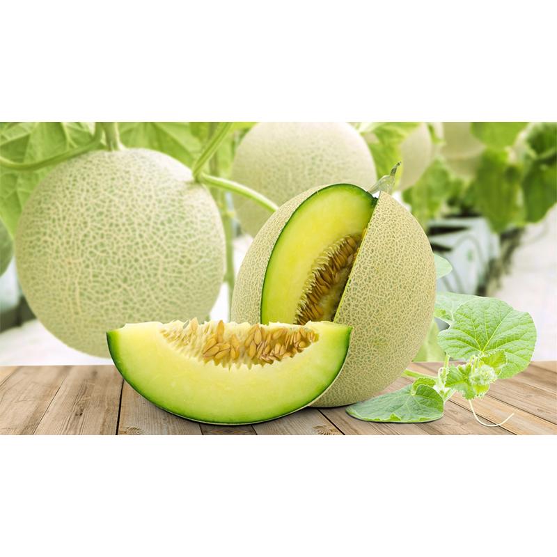 Hạt Giống Dưa Lưới Xanh Giòn Ngọt -