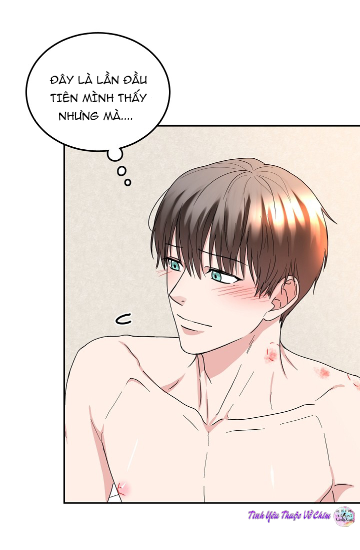 đối tác an toàn chapter 7 14