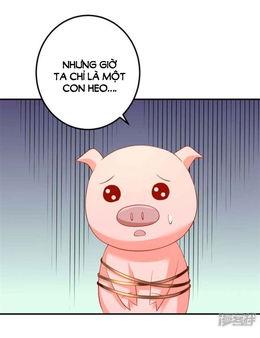 từ đây vương gia không thượng triều sớm chapter 99 19