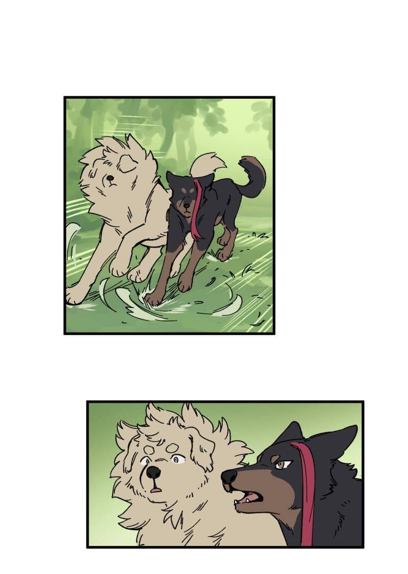 lumine - cội nguồn ánh sáng chapter 142 22