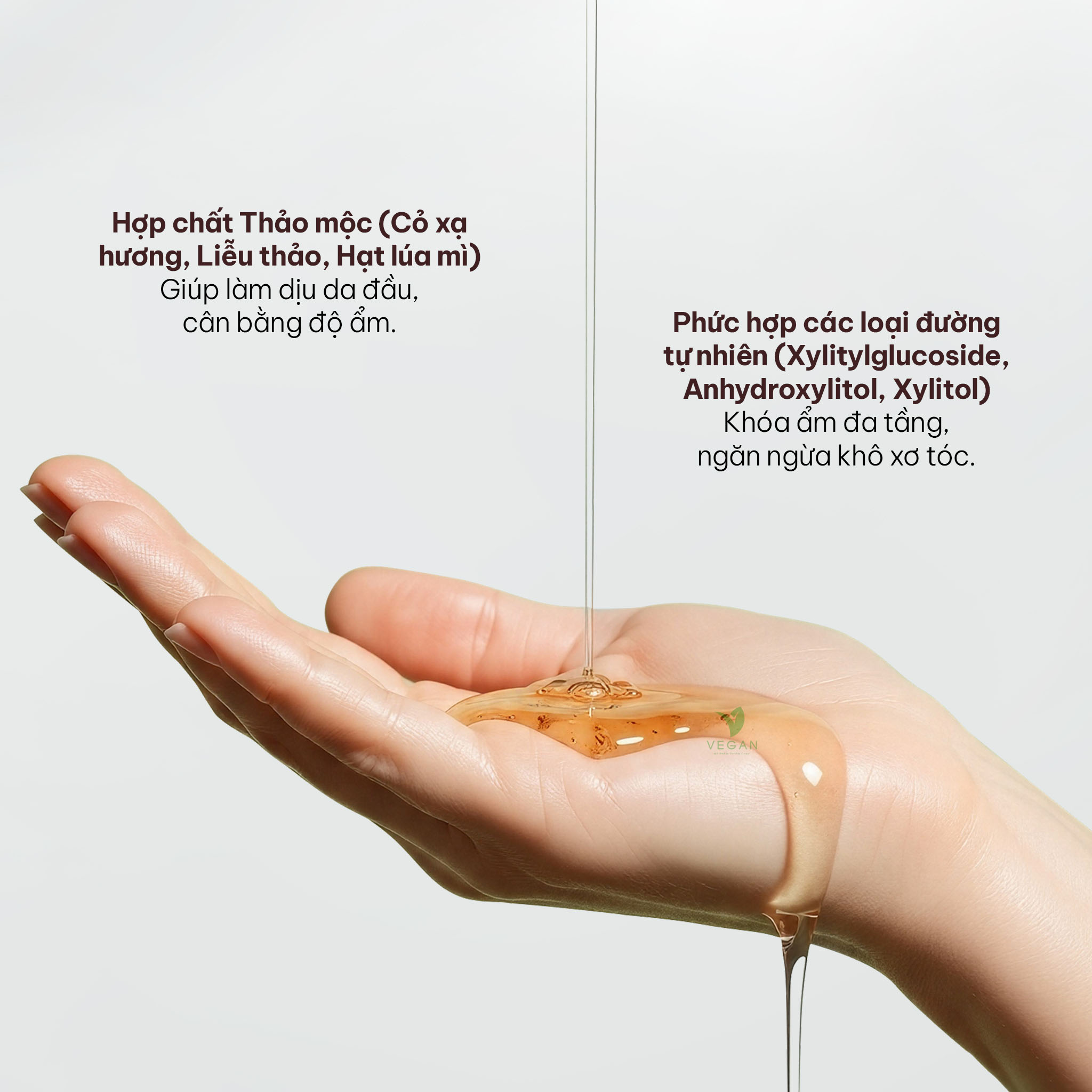 Combo Dầu gội vỏ bưởi bồ kết Herbario 500ml + Dầu xả vỏ bưởi bồ kết Herbario 300ml