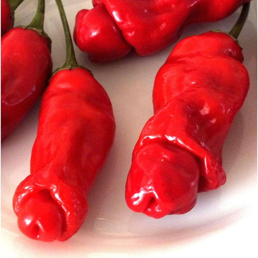Gói 5 hạt giống ớt Peter giống chuẩn