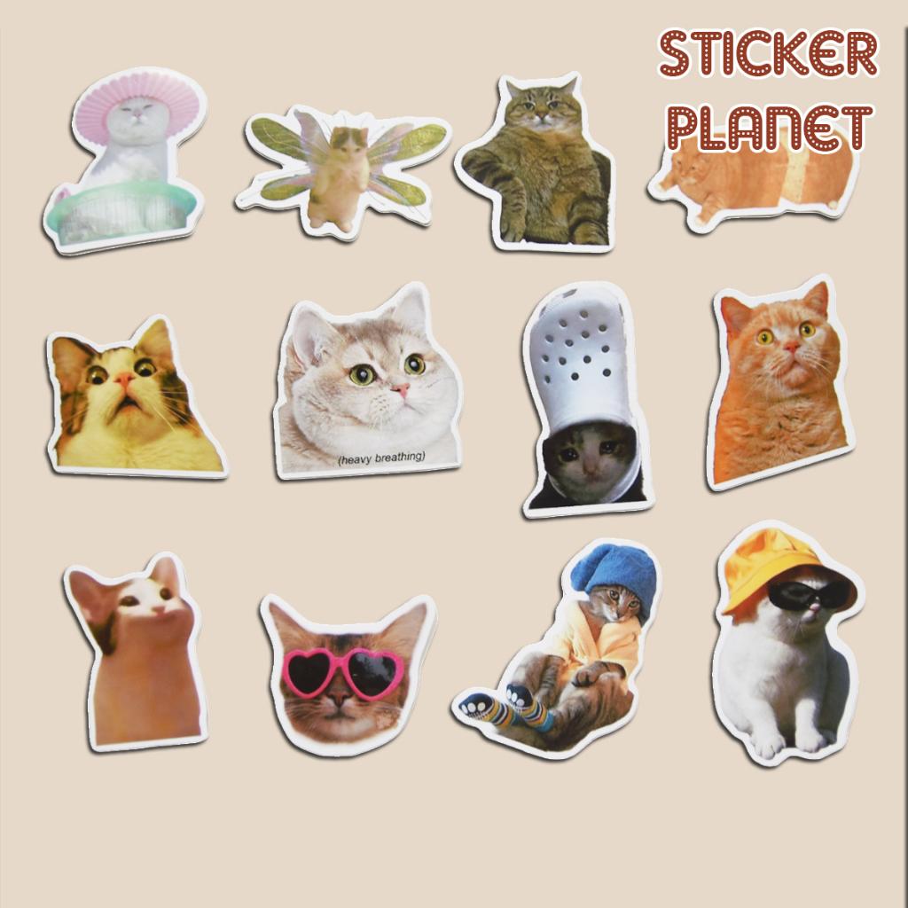 Sticker MEME MÈO hài hước nhãn dán trang trí mũ bảo hiểm, laptop, vali, ván trượt