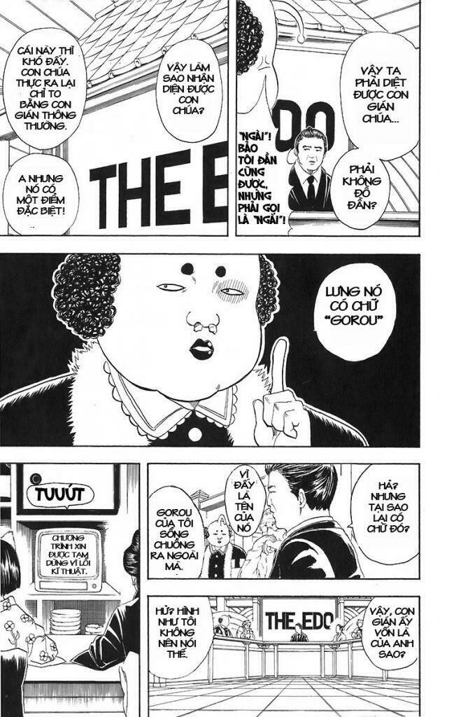 gintama - linh hồn bạc chapter 47 11