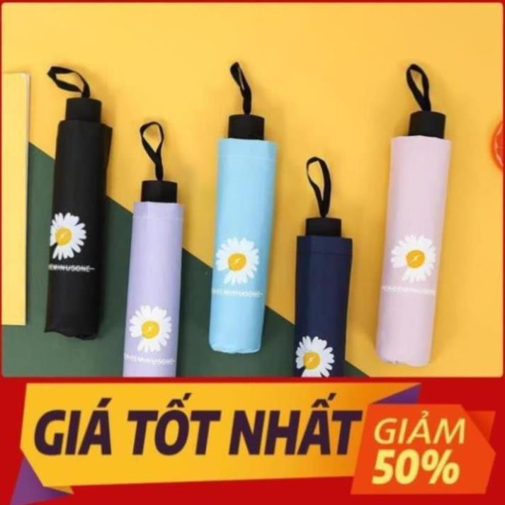 HOT SALES - Ô Dù Hoa Cúc gấp gọn