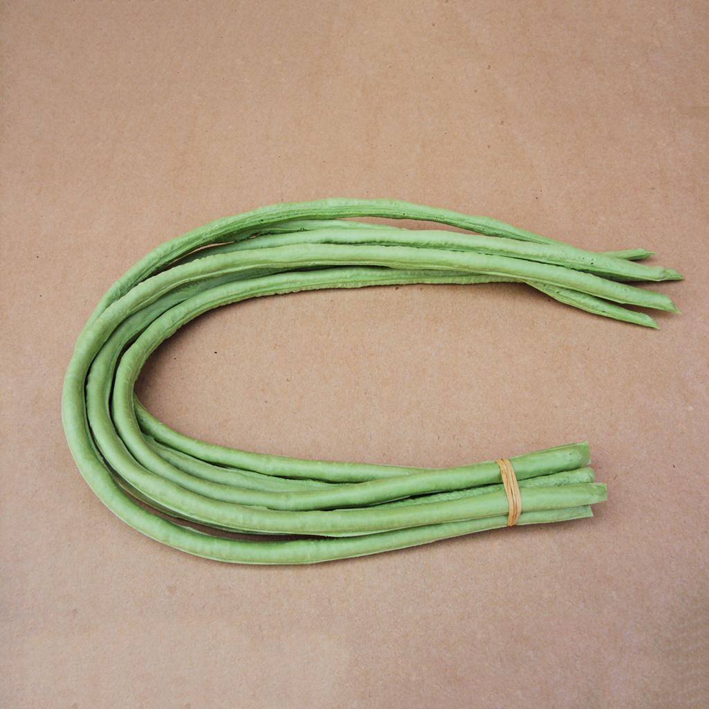 Realistic Green Long Bean Artificial Plastic Fake Vegetable Simulation Food