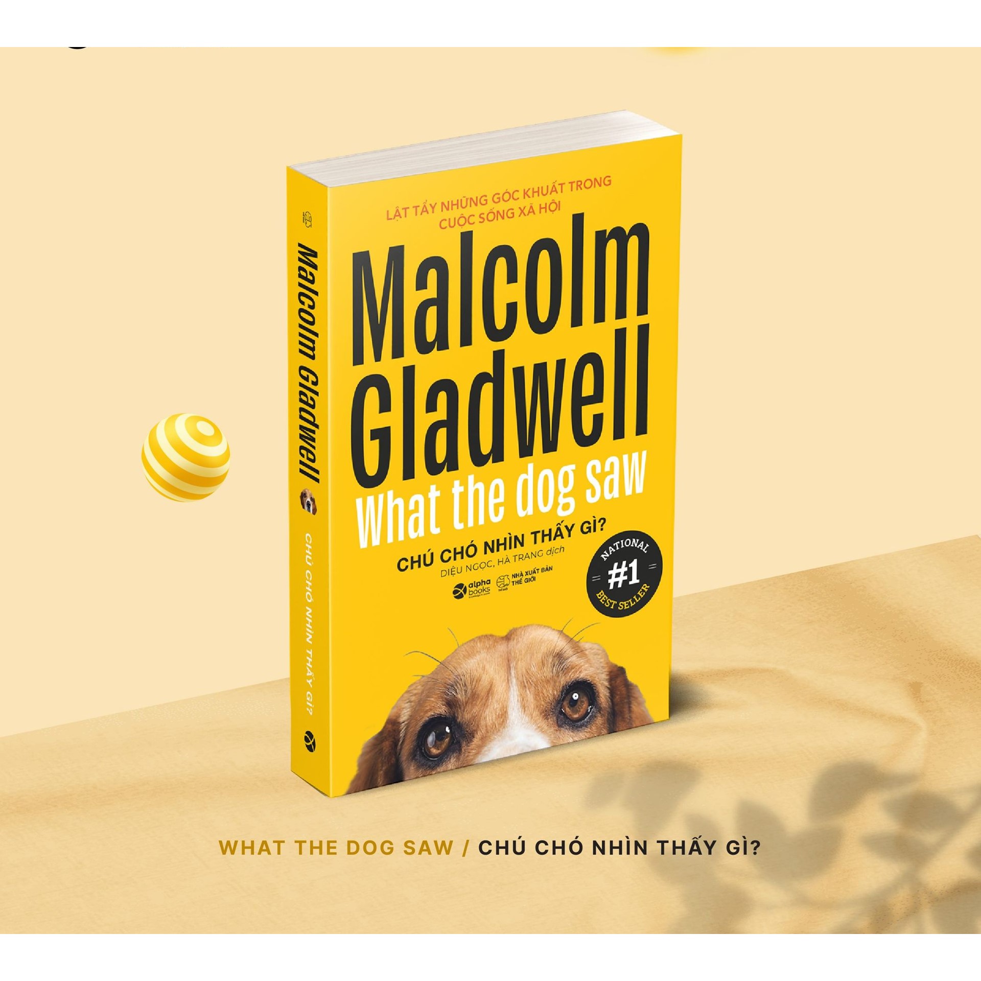 Combo Sách Của Malcolm Gladwell : Trong Chớp Mắt - Blink + Chú Chó Nhìn Thấy Gì? - What The Dog Saw (Tái Bản Đổi Bìa 2020) 