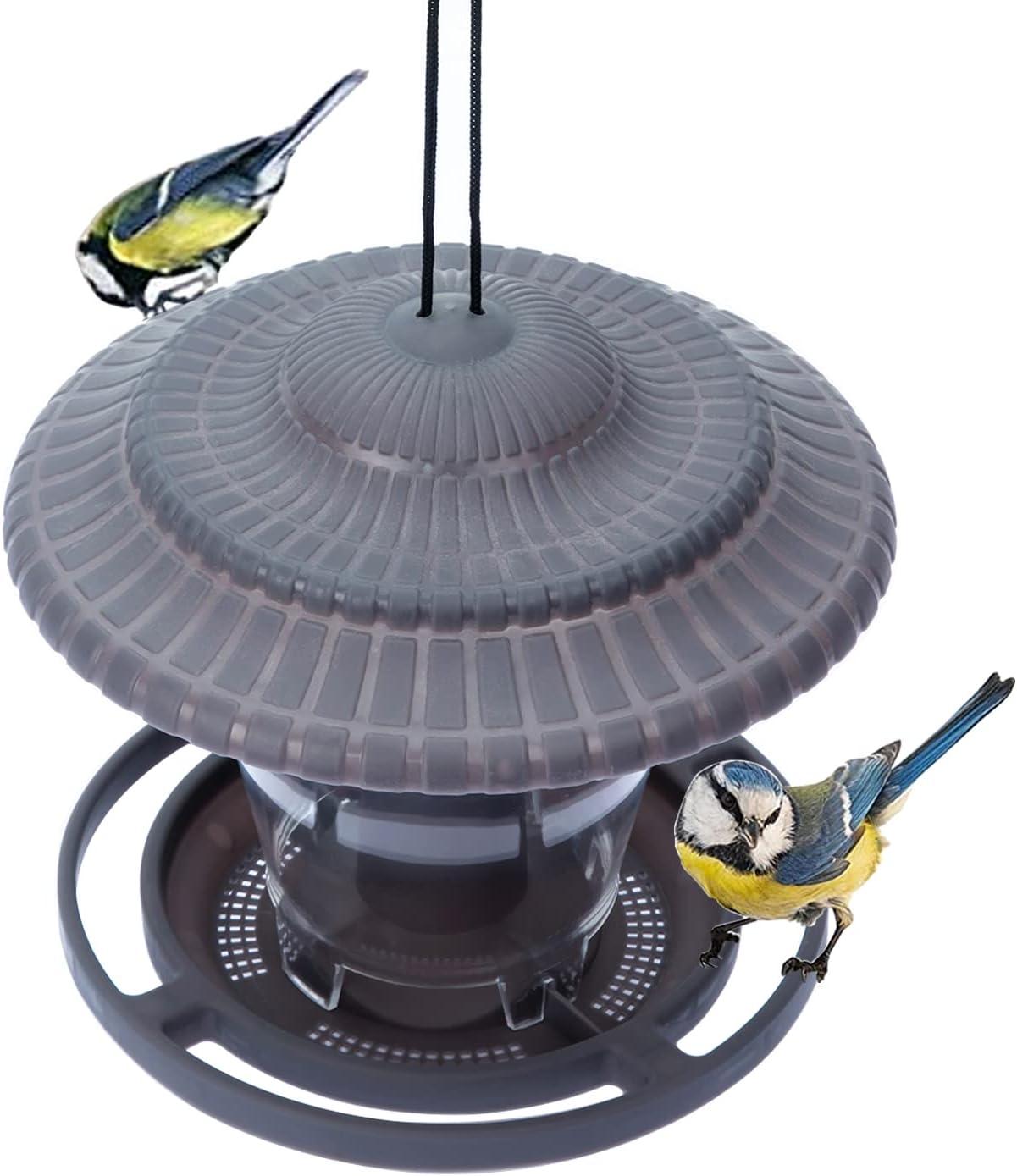 Bộ nạp chim ngoài trời, xử lý cho chim ăn, bộ nạp chim bên ngoài lơ lửng với mái nhà, người treo đèn g, bên ngoài, vườn, sân thượng, sân trong