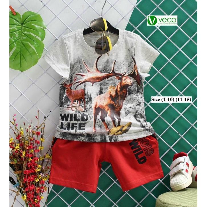 BỘ THUN VECO BÉ TRAI ĐỘNG VẬT 28-34KG