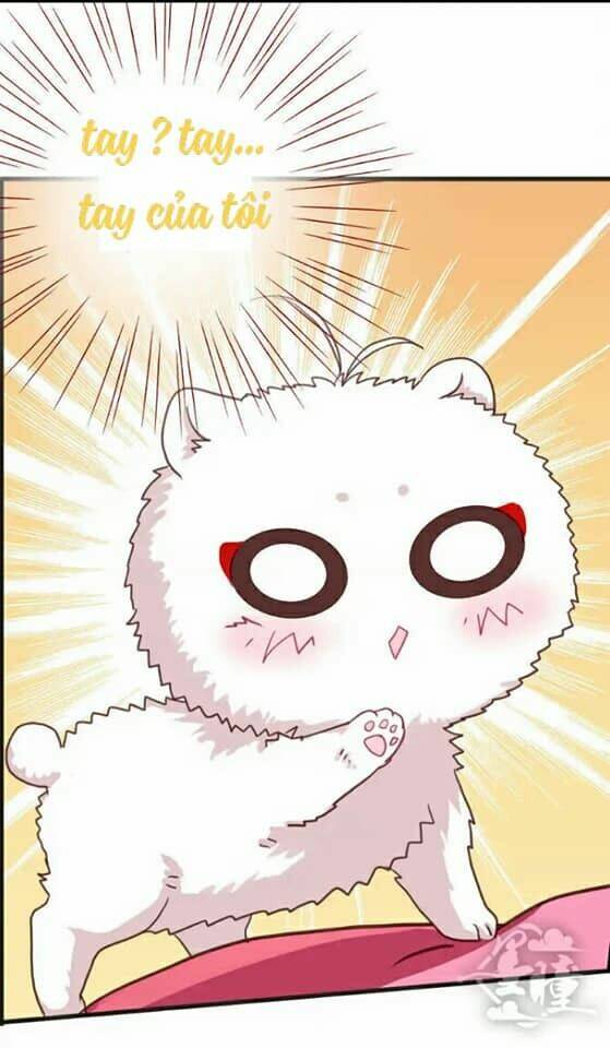 tân quang thiên chapter 11 5