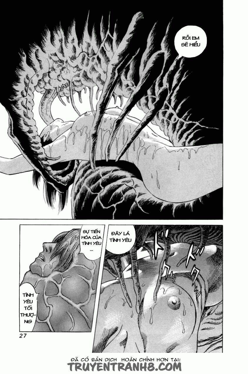 cambrian chapter 1 29