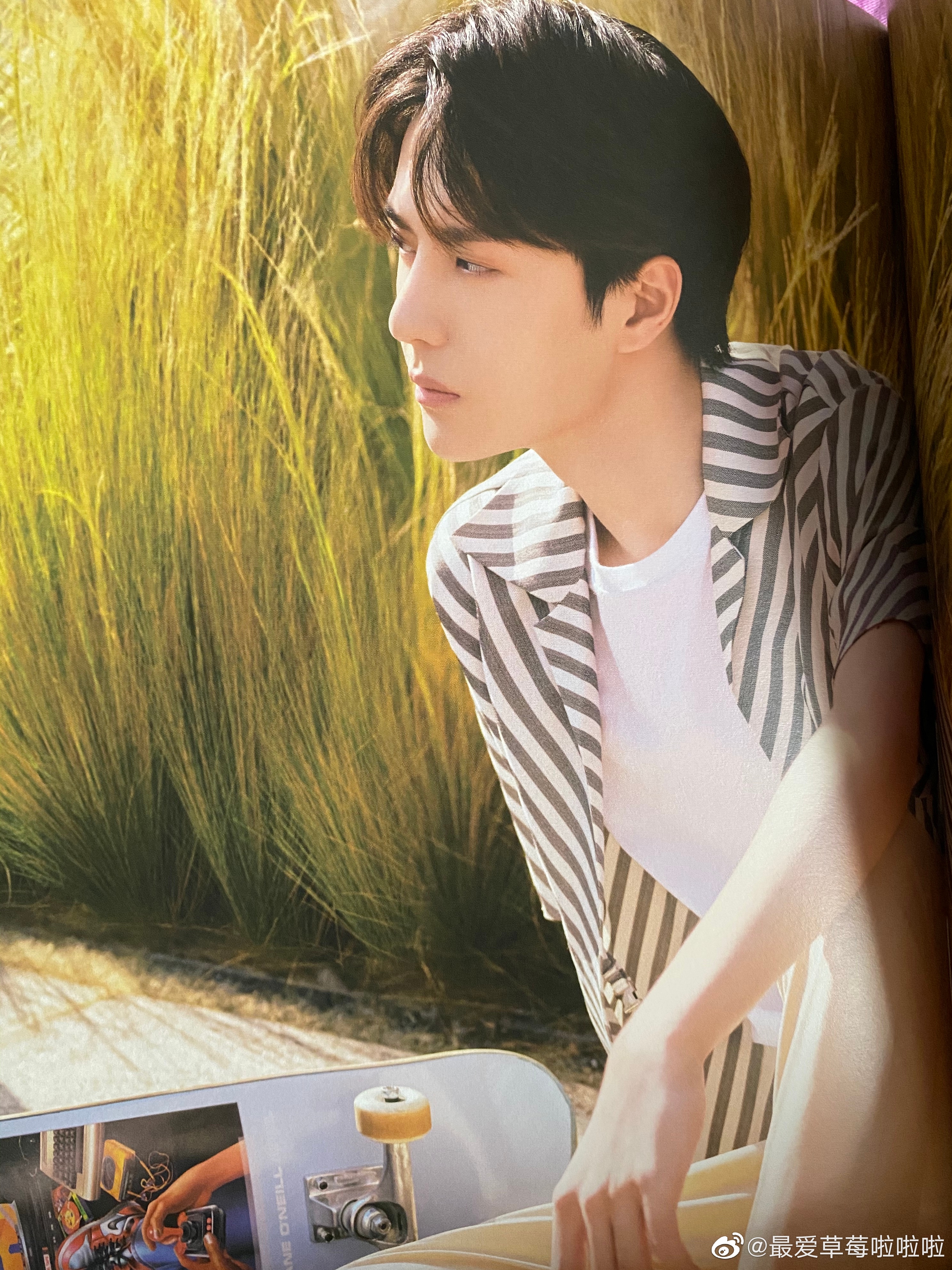 SET 3 Tranh Poster Vương Nhất Bác - Lam Vong Cơ- TRẦN TÌNH LỆNH 21cmx30cm