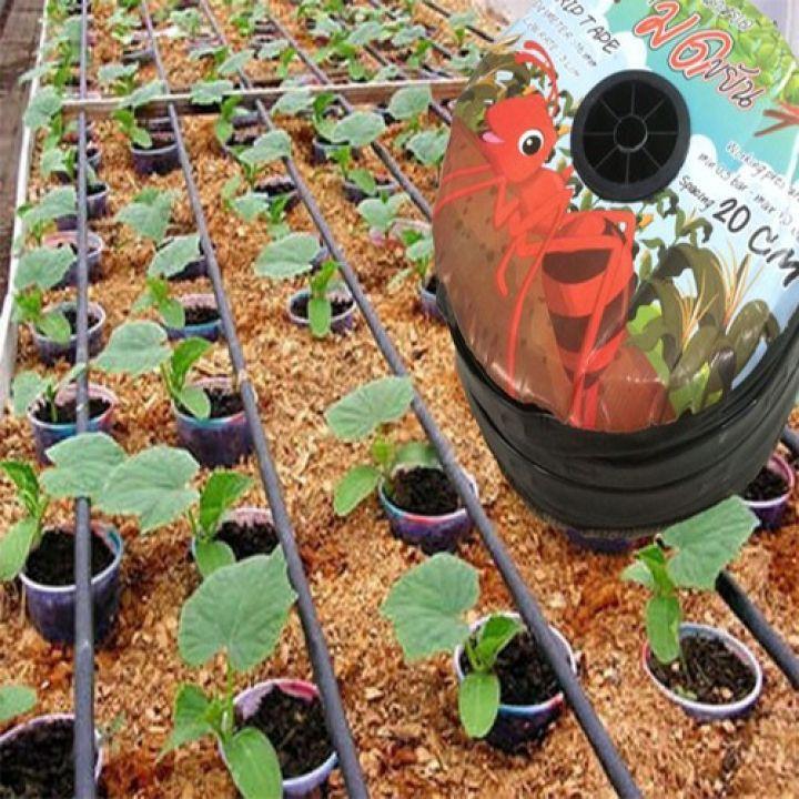 Dây nhỏ giọt dày 0.15mm khoảng cách 20cm