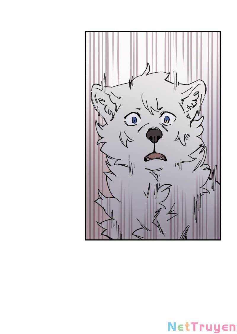 lumine - cội nguồn ánh sáng chapter 91 44