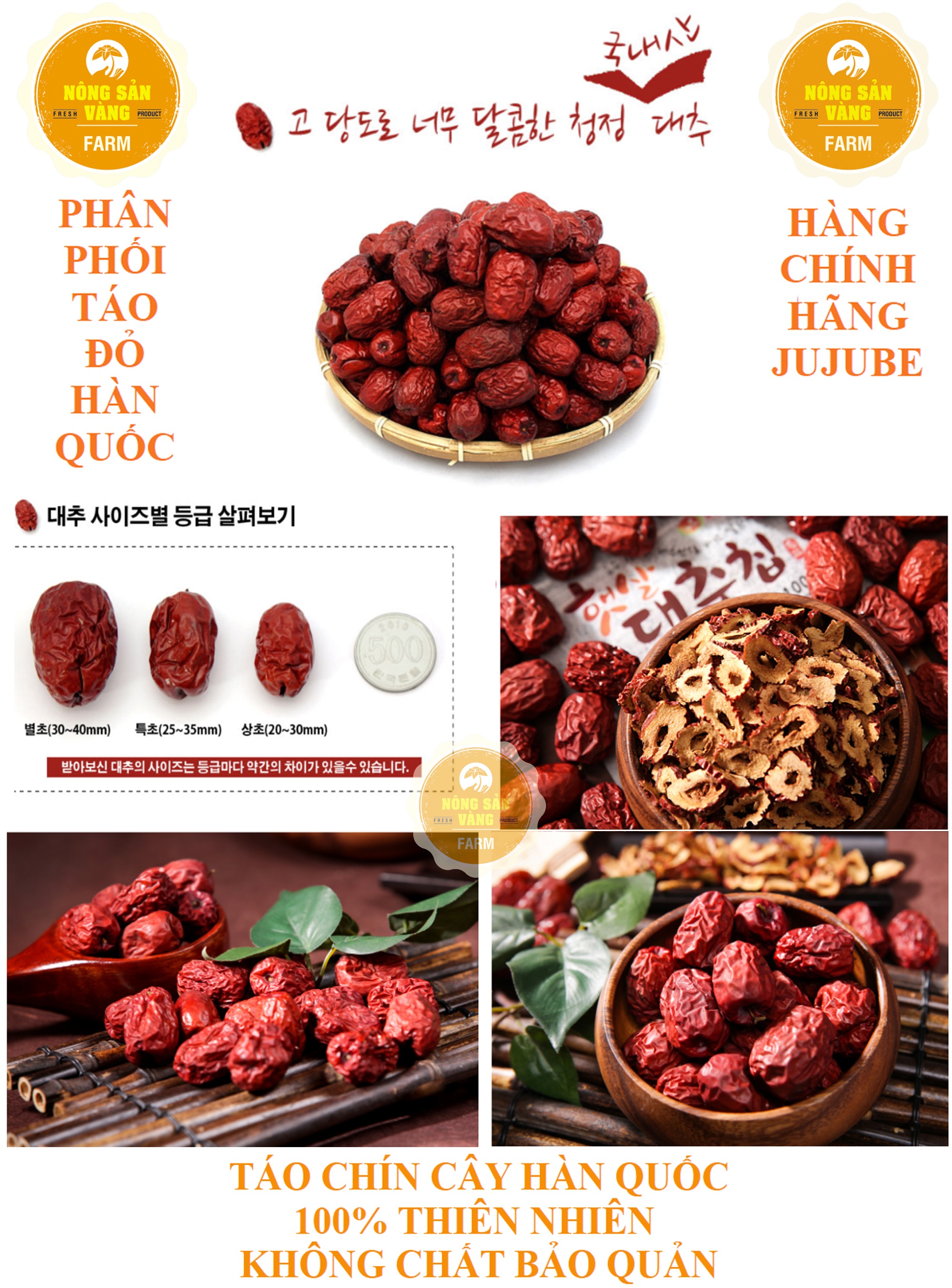 TÁO ĐỎ HÀN QUỐC MẪU CAO CẤP JUJUBE 1KG LUÔN HỘP - NÔNG SẢN VÀNG