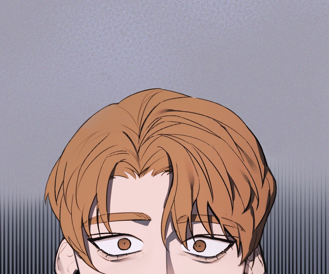 chàng dâu nhà họ kang chapter 0 16