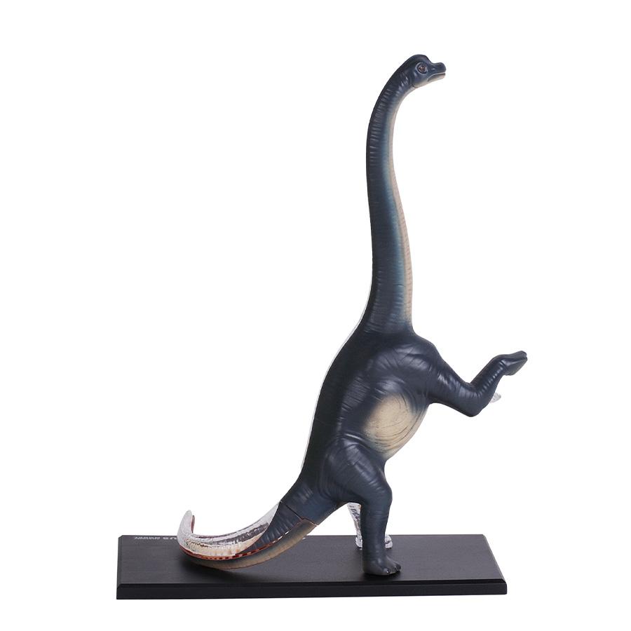 Đồ Chơi Mô Hình Giải Phẫu 4D - Khủng Long Brachiosaurus 4D Master 622015