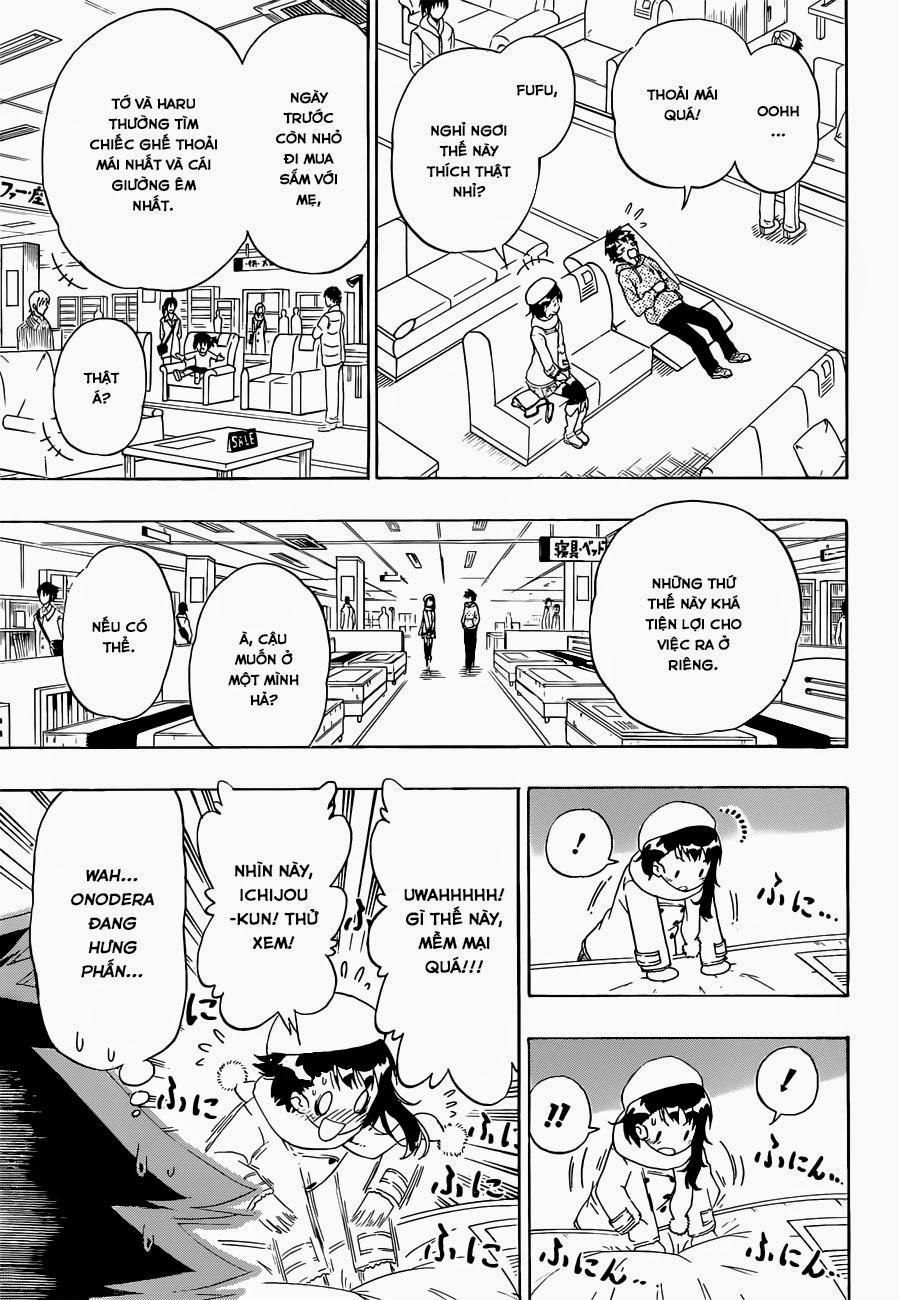 nisekoi - tình yêu giả tạo chapter 166 13