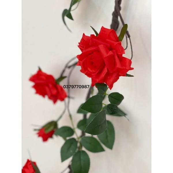 Dây leo Hoa hồng  - Hoa lụa