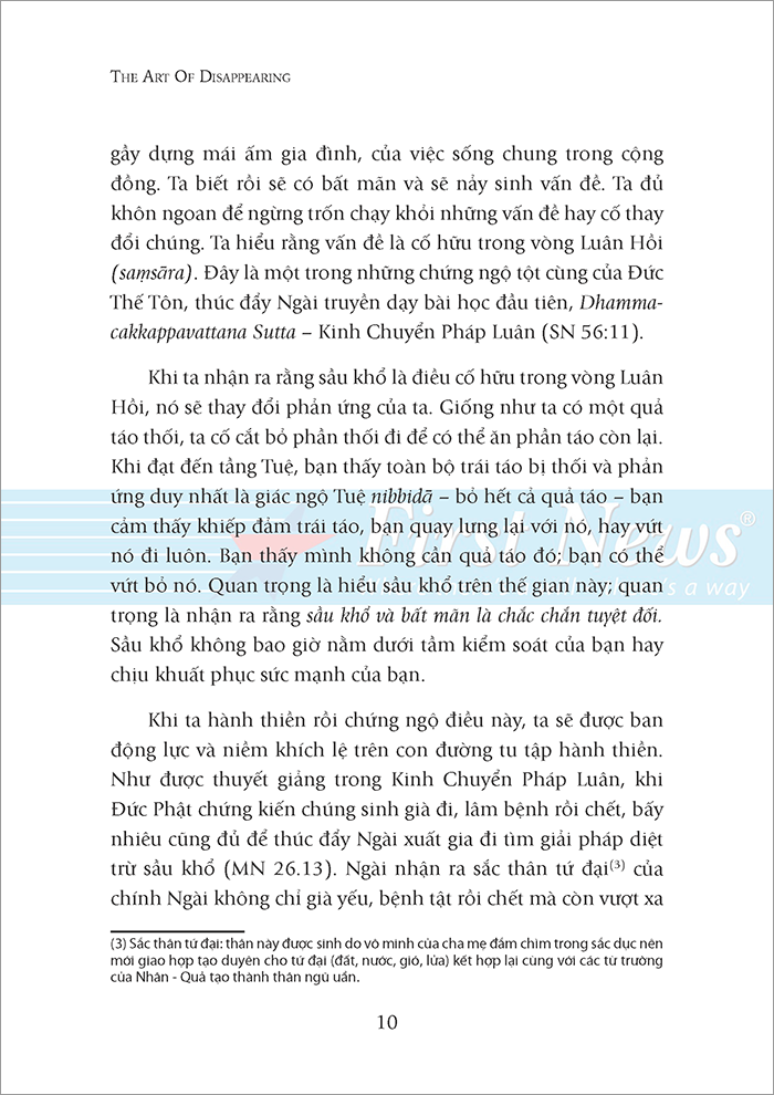 Hạnh Phúc Đến Từ Sự Biến Mất _FN