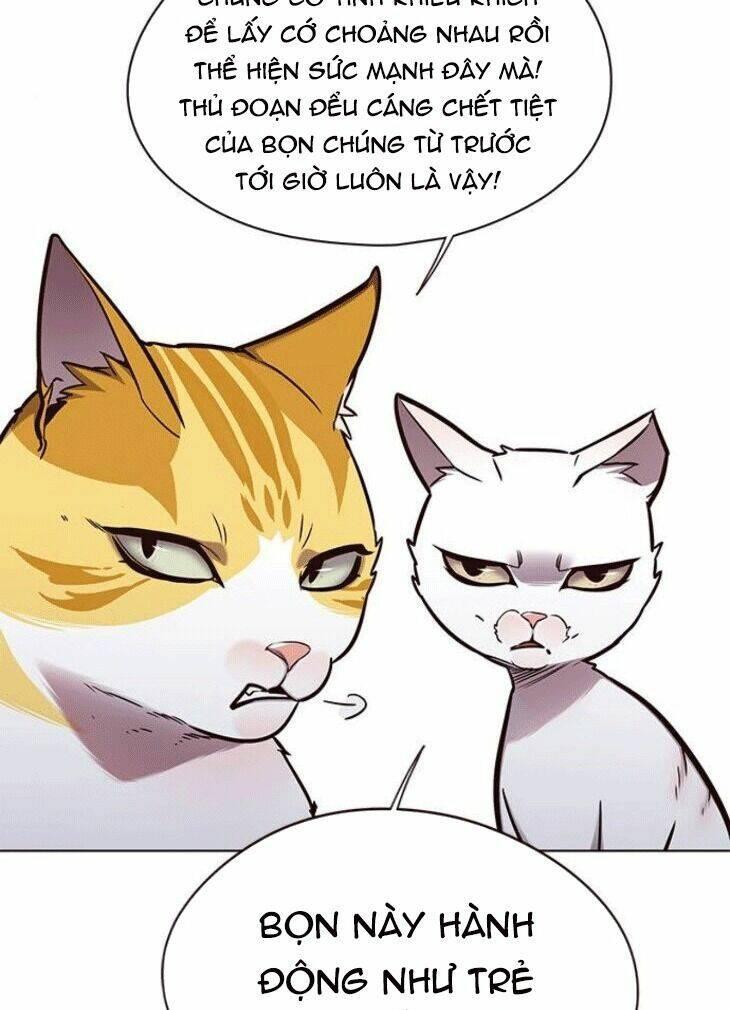 biến thân thành mèo chapter 148 3
