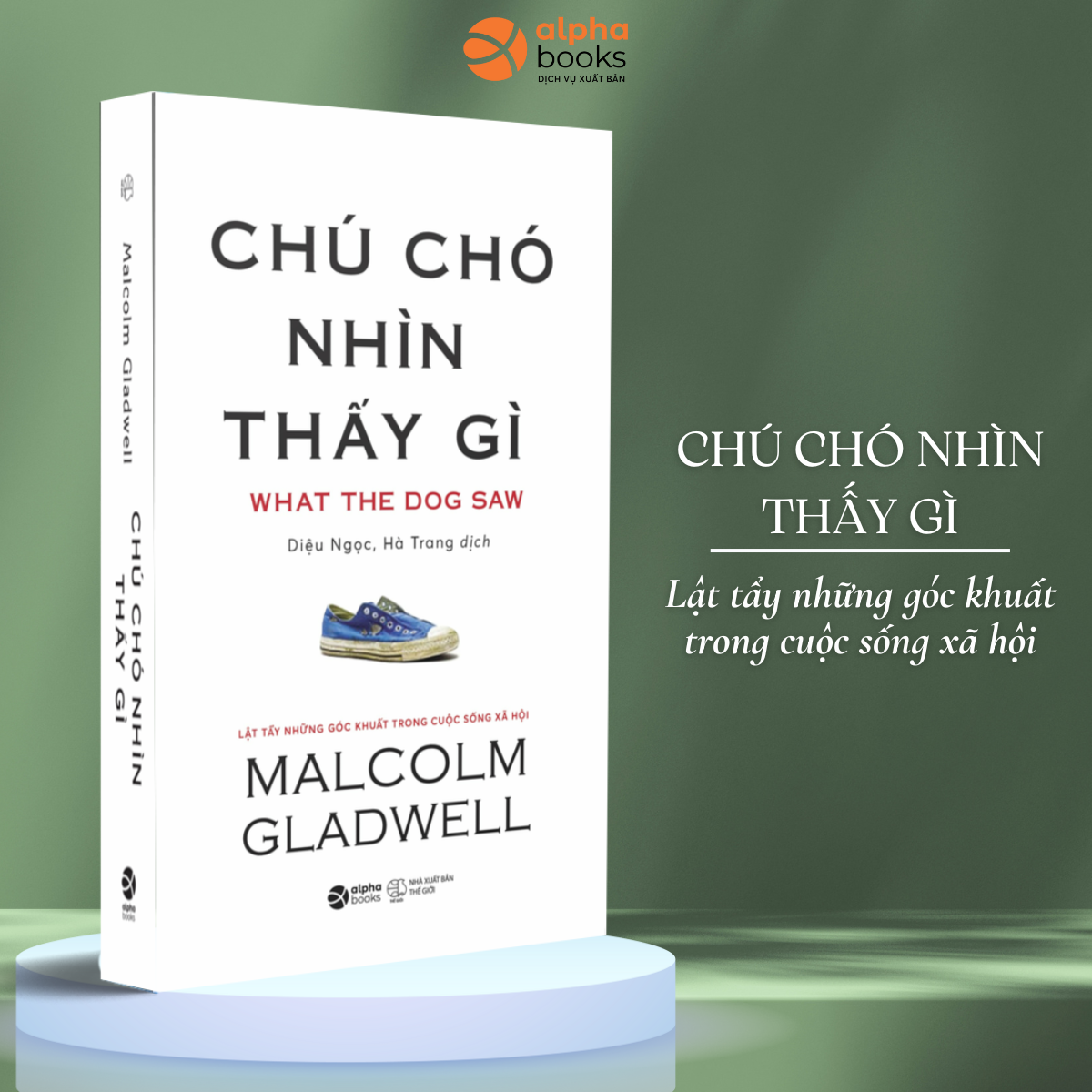 Chú Chó Nhìn Thấy Gì?