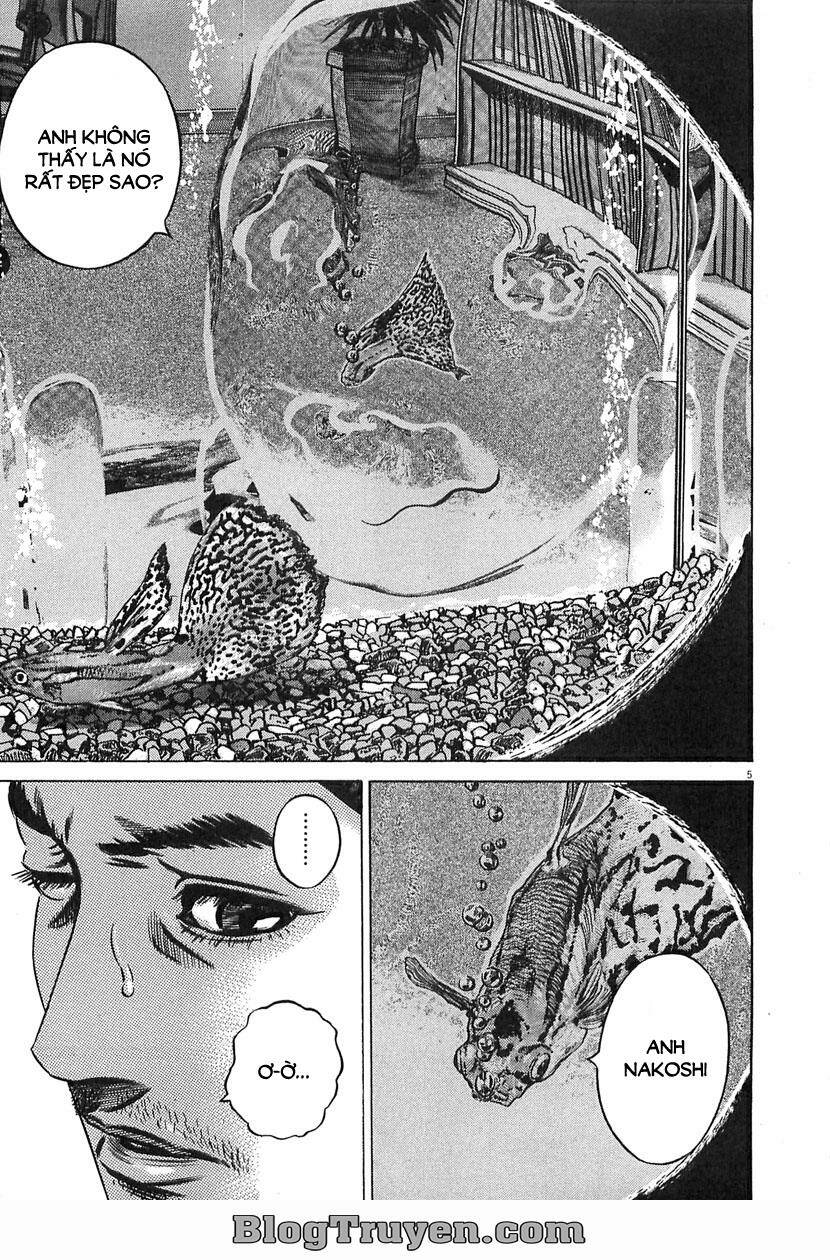 homunculus chapter 62 9