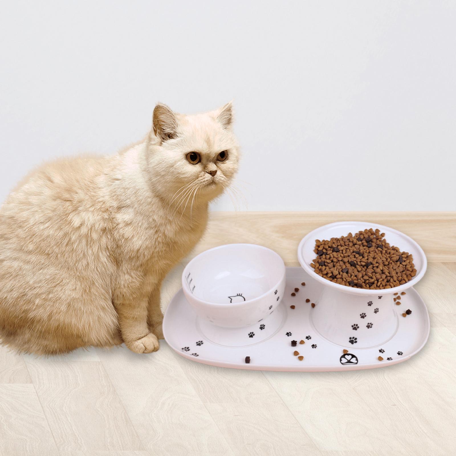 Pets Feeder Tray Water Dispenser Feeding Bowl Cats Food Bowl Plate for Small Dog
