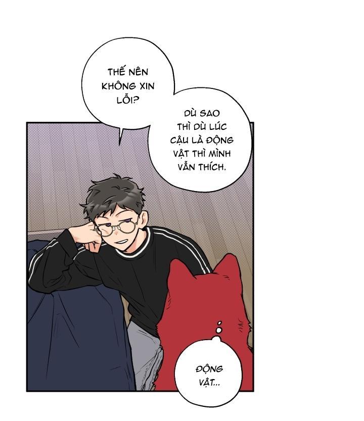 gâu gâu! chapter 19 21