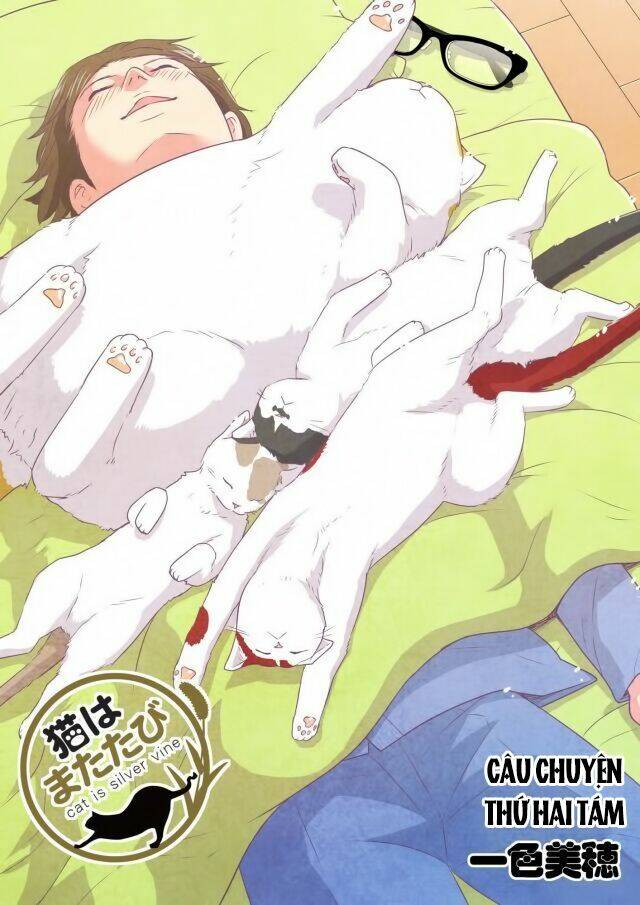 cat is silver vine chapter 28 1