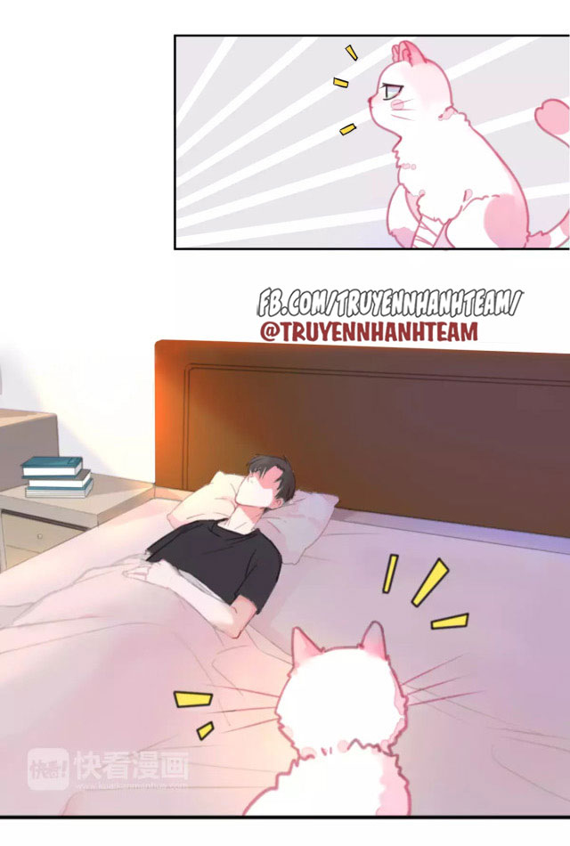 xã hội mèo chapter 1 22