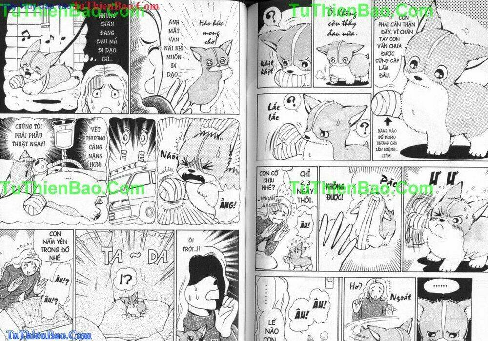 chó con mo mo chapter 5 51