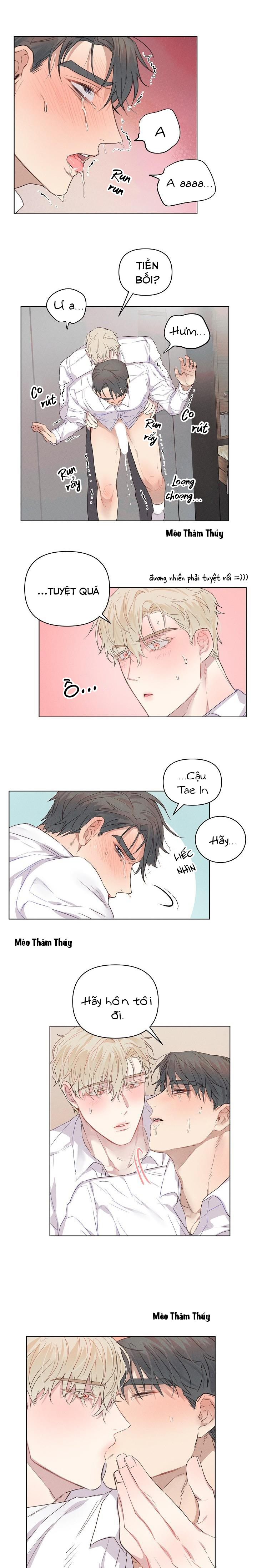 nơi tình yêu định mệnh chapter 6 8