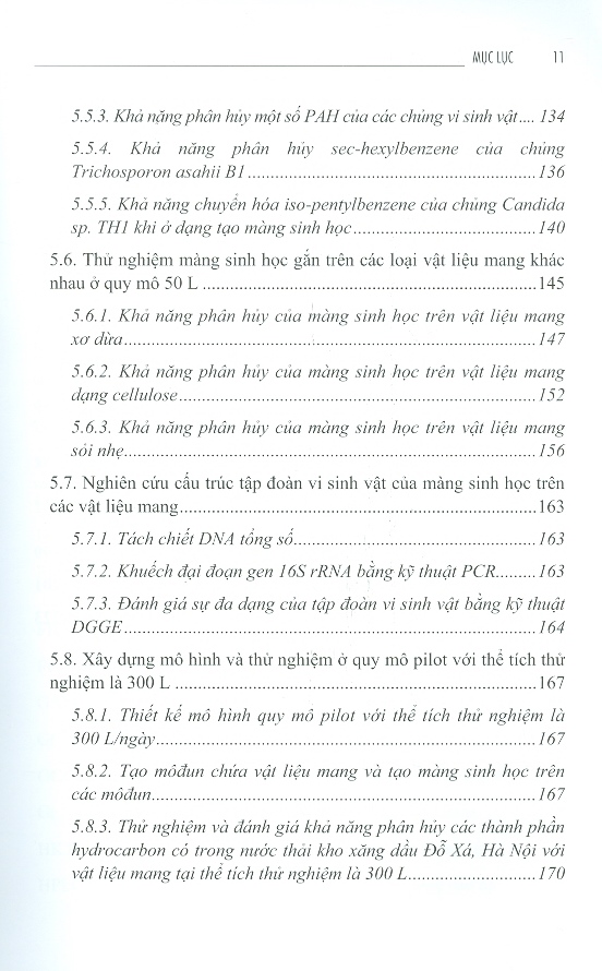 Màng Sinh Học (Biofilm) Từ Vi Sinh Vật Và Ứng Dụng Trong Xử Lý Ô Nhiễm Dầu Ở Việt Nam (Bìa cứng)