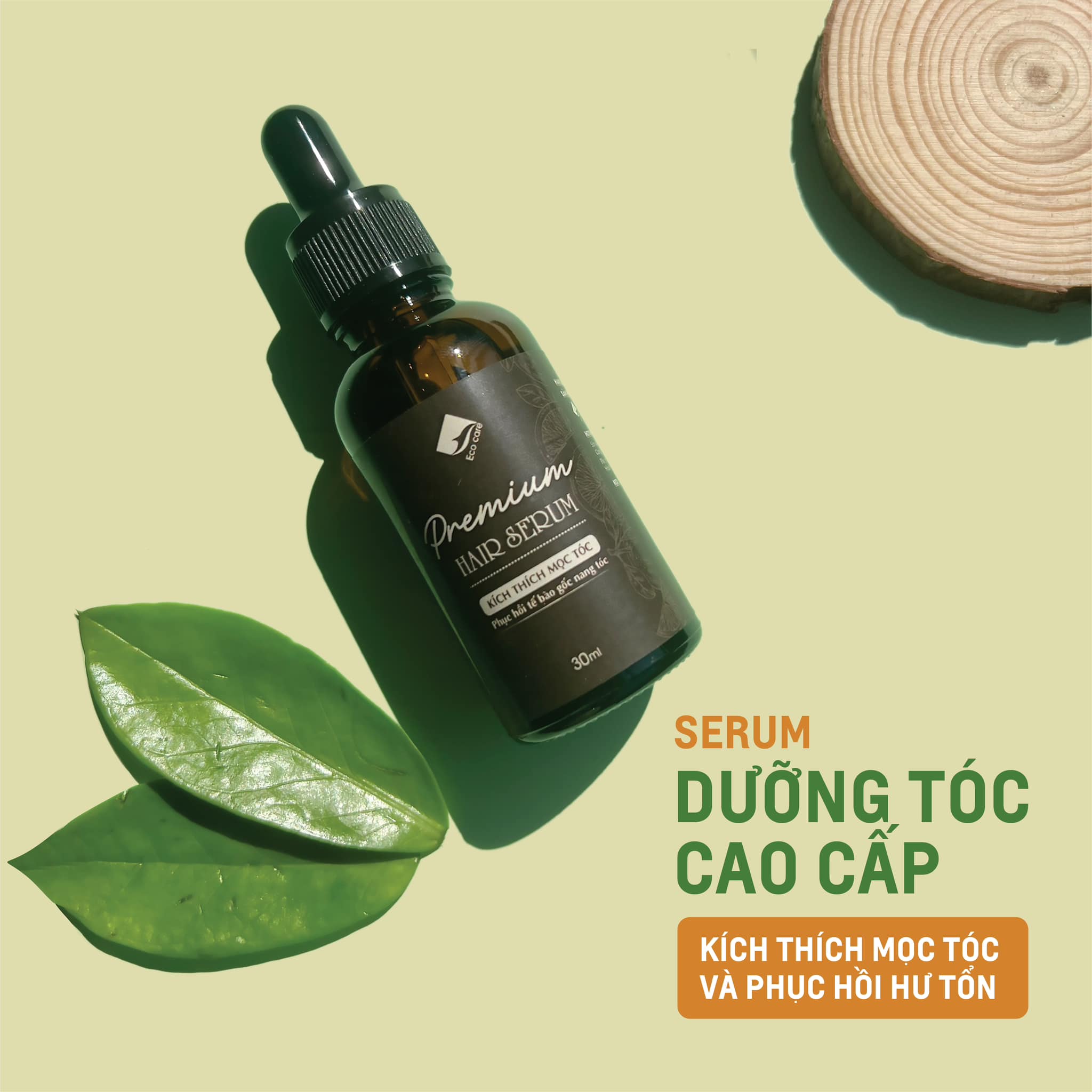 Dầu gội thảo dược sạch gàu, giảm xơ rối ECOCARE PREMIUM 300ml đạt chuẩn CGMP, dầu gội xả thiên nhiên 