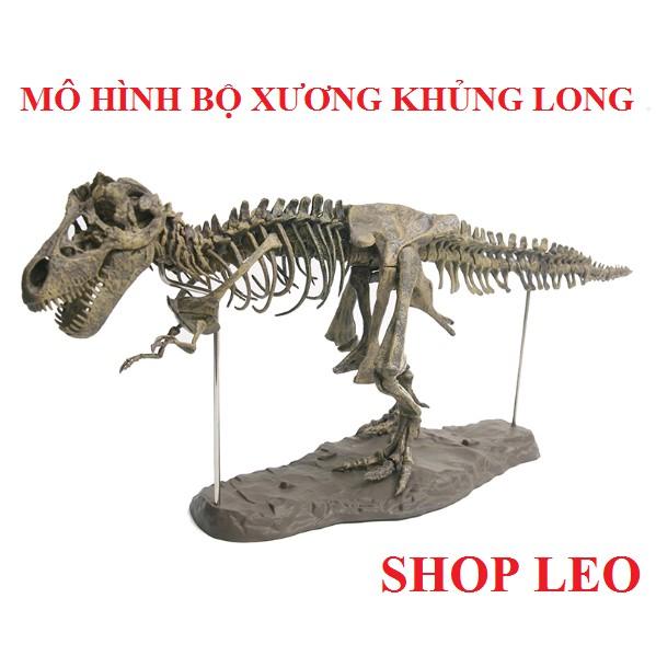 MÔ HÌNH BỘ XƯƠNG KHỦNG LONG - MÔ HÌNH TRANG TRÍ HỒ CÁ