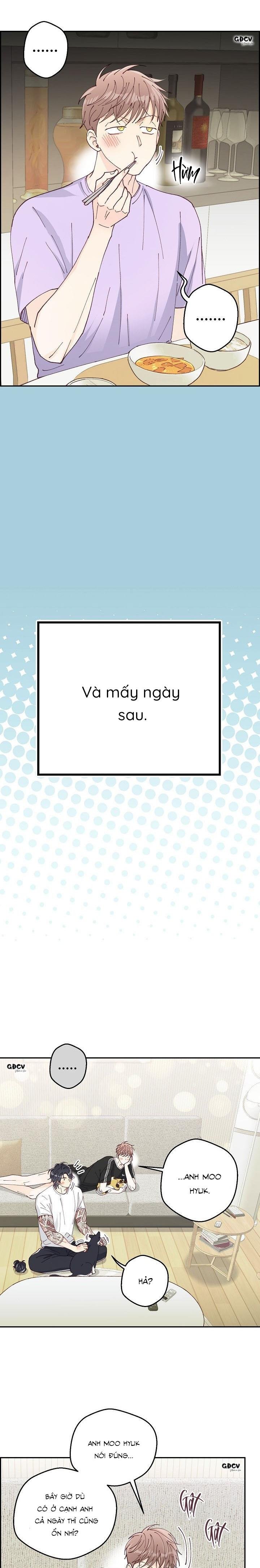 bạn trai vô song của tôi Chapter 34 NT2 18+ 23